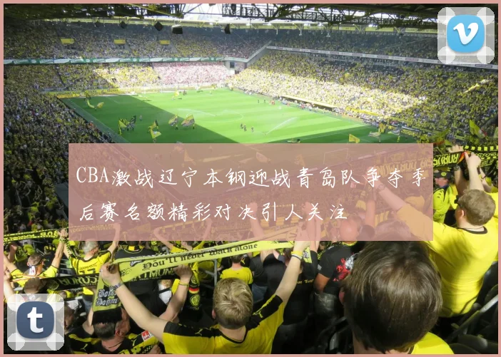 CBA激战辽宁本钢迎战青岛队争夺季后赛名额精彩对决引人关注