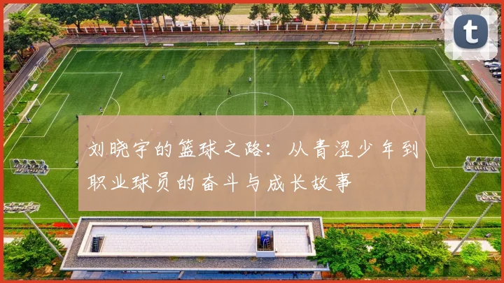 刘晓宇的篮球之路：从青涩少年到职业球员的奋斗与成长故事