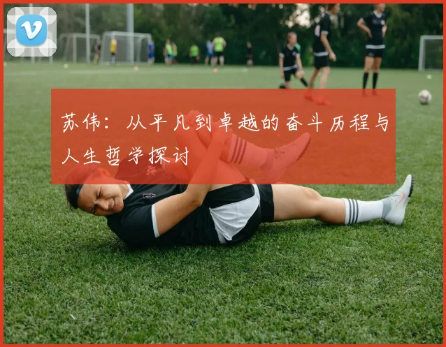 苏伟：从平凡到卓越的奋斗历程与人生哲学探讨