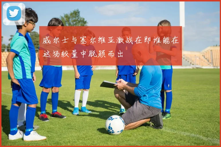 威尔士与塞尔维亚激战在即谁能在这场较量中脱颖而出