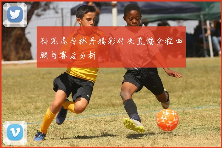 孙完虎与林丹精彩对决直播全程回顾与赛后分析