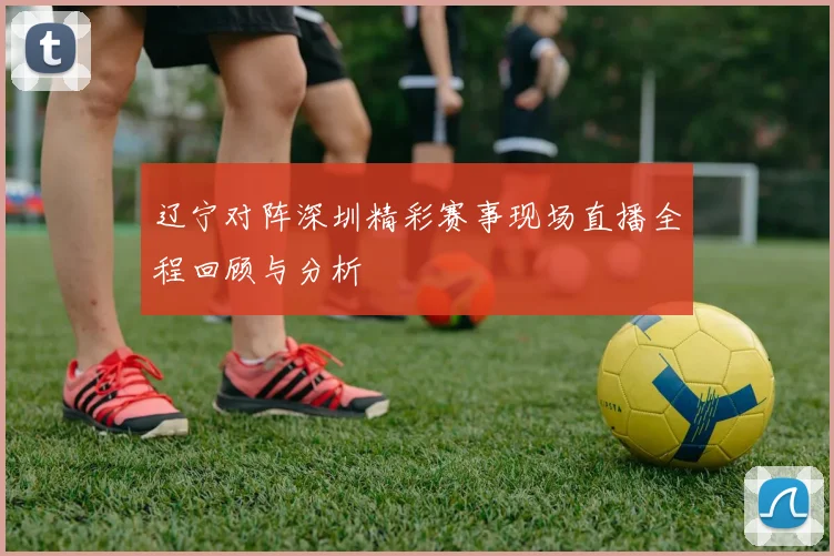 辽宁对阵深圳精彩赛事现场直播全程回顾与分析
