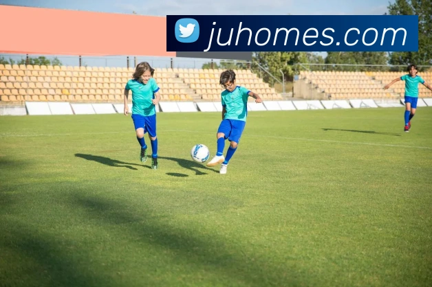 开云体育服务体系